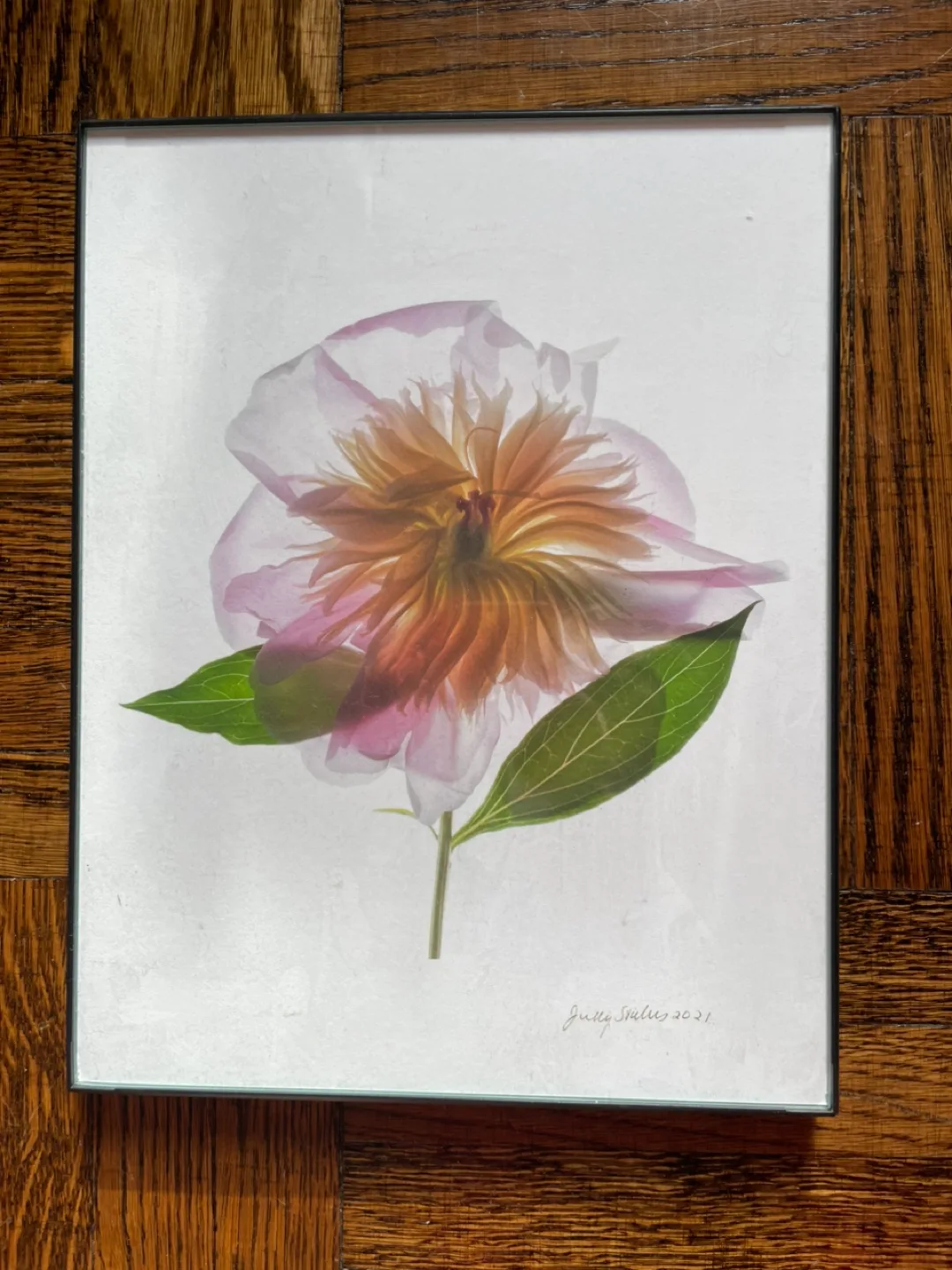 Judy Stalus Framed Art Prints - Set of 3 image indicator(2)