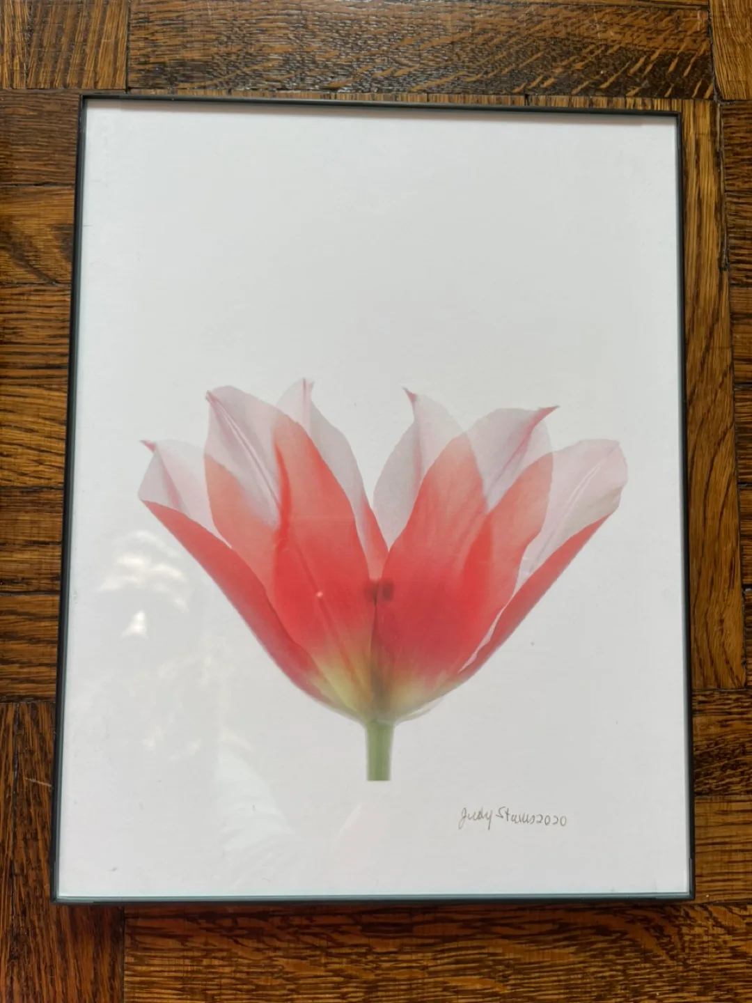 Judy Stalus Framed Art Prints - Set of 3 image indicator(4)