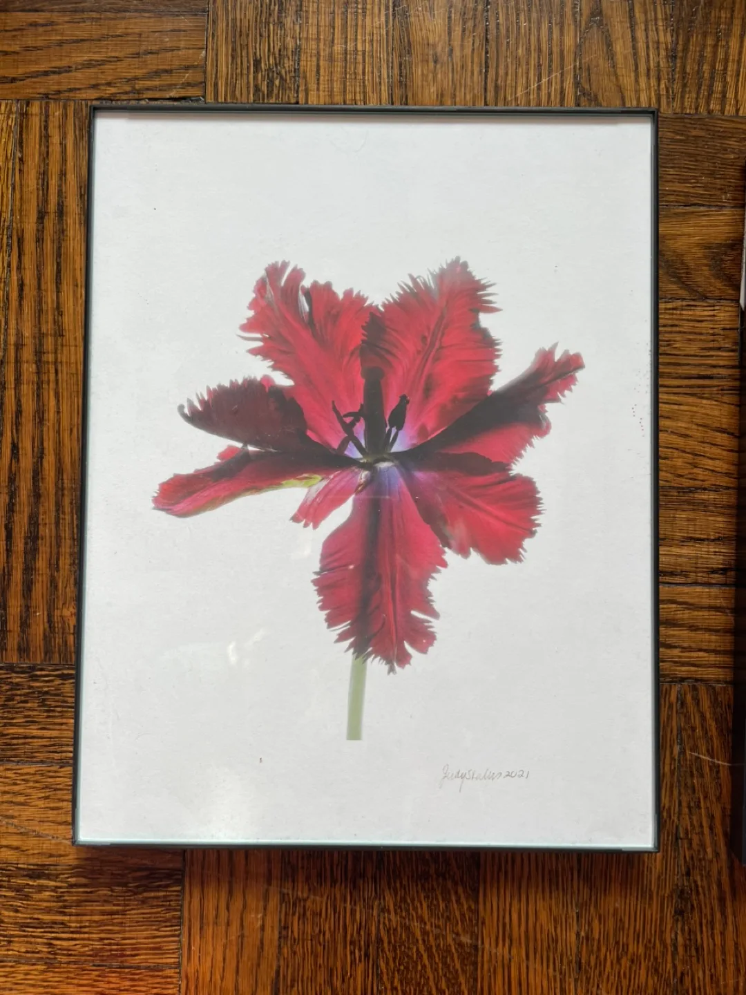 Judy Stalus Framed Art Prints - Set of 3 image indicator(3)