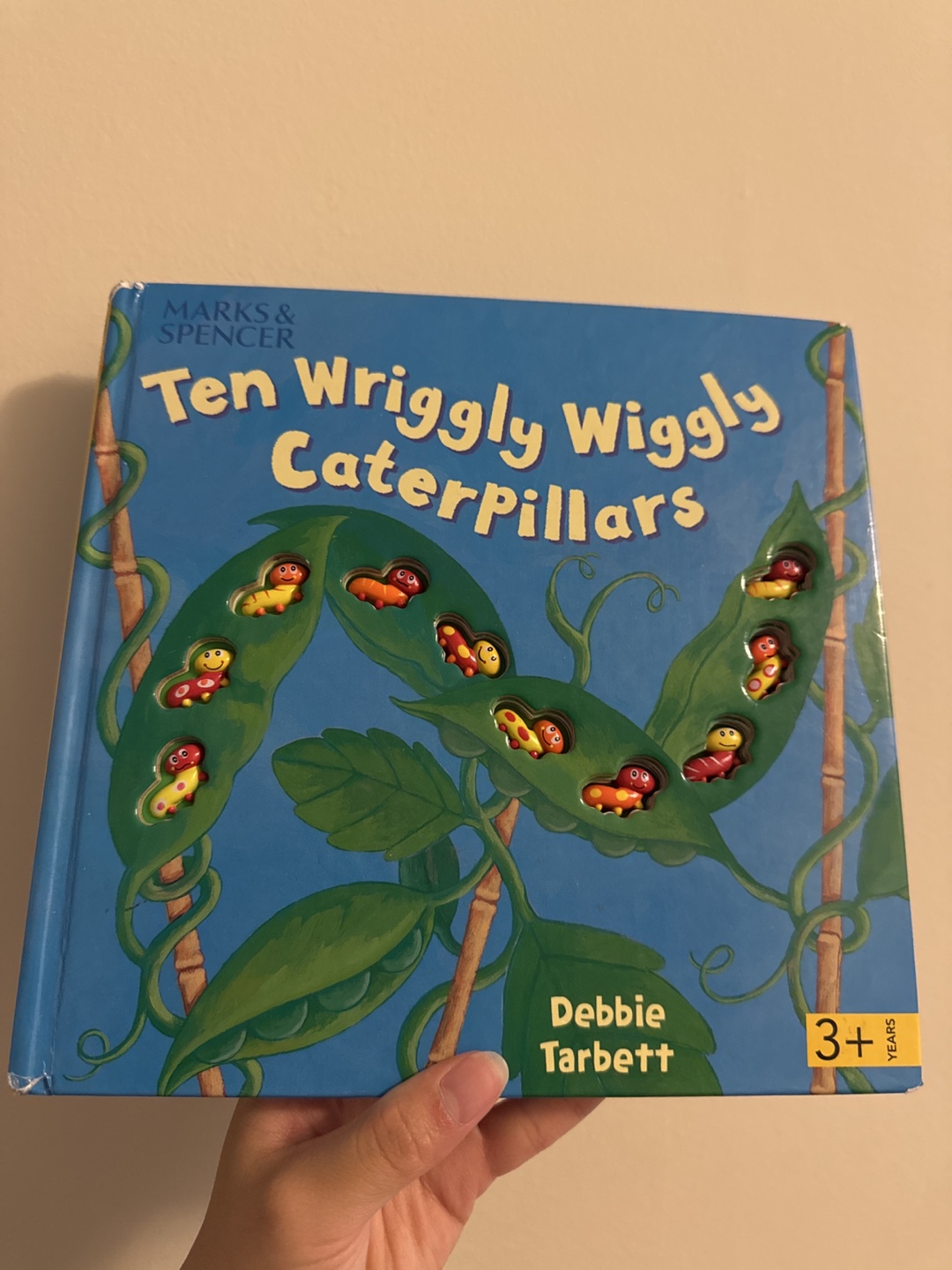 Ten Wriggly Wiggly Caterpillars Book
