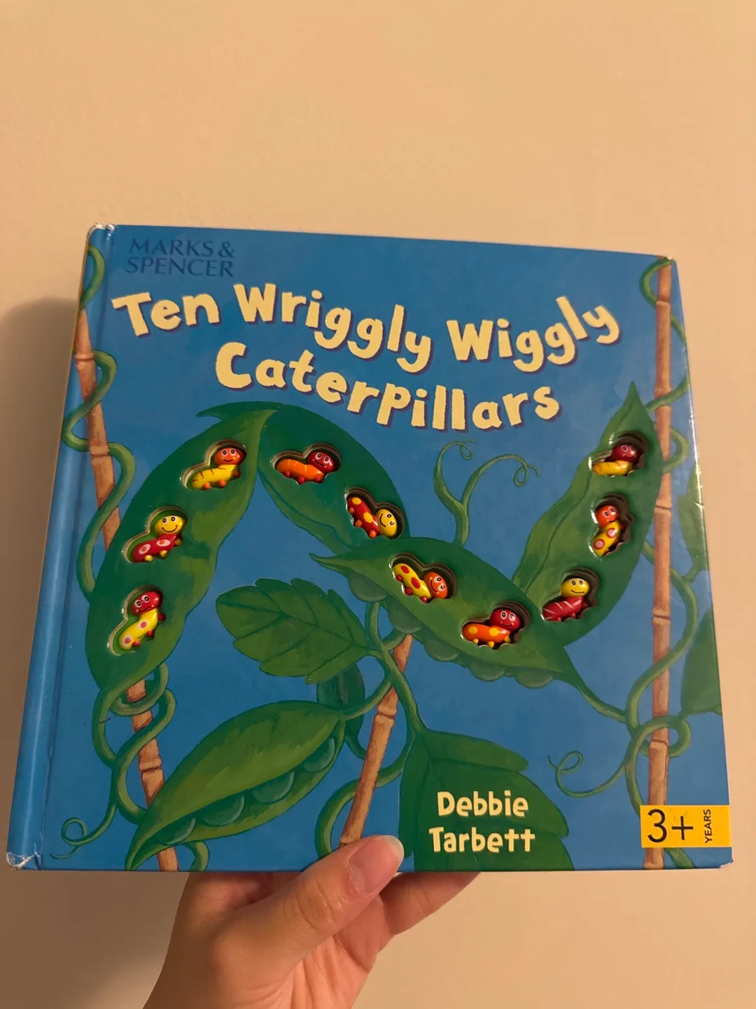 Ten Wriggly Wiggly Caterpillars Book thumbnail