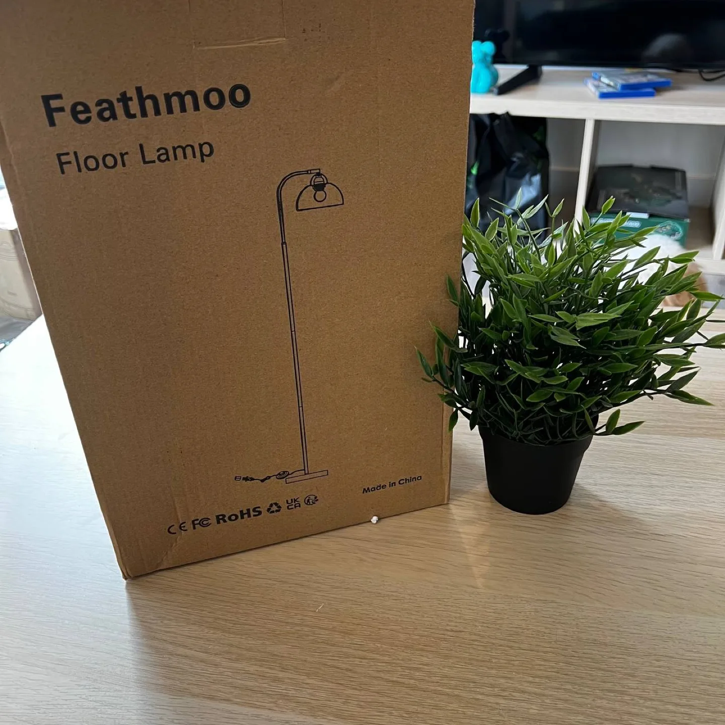 Feathmoo Black Floor Lamp - New in Box!