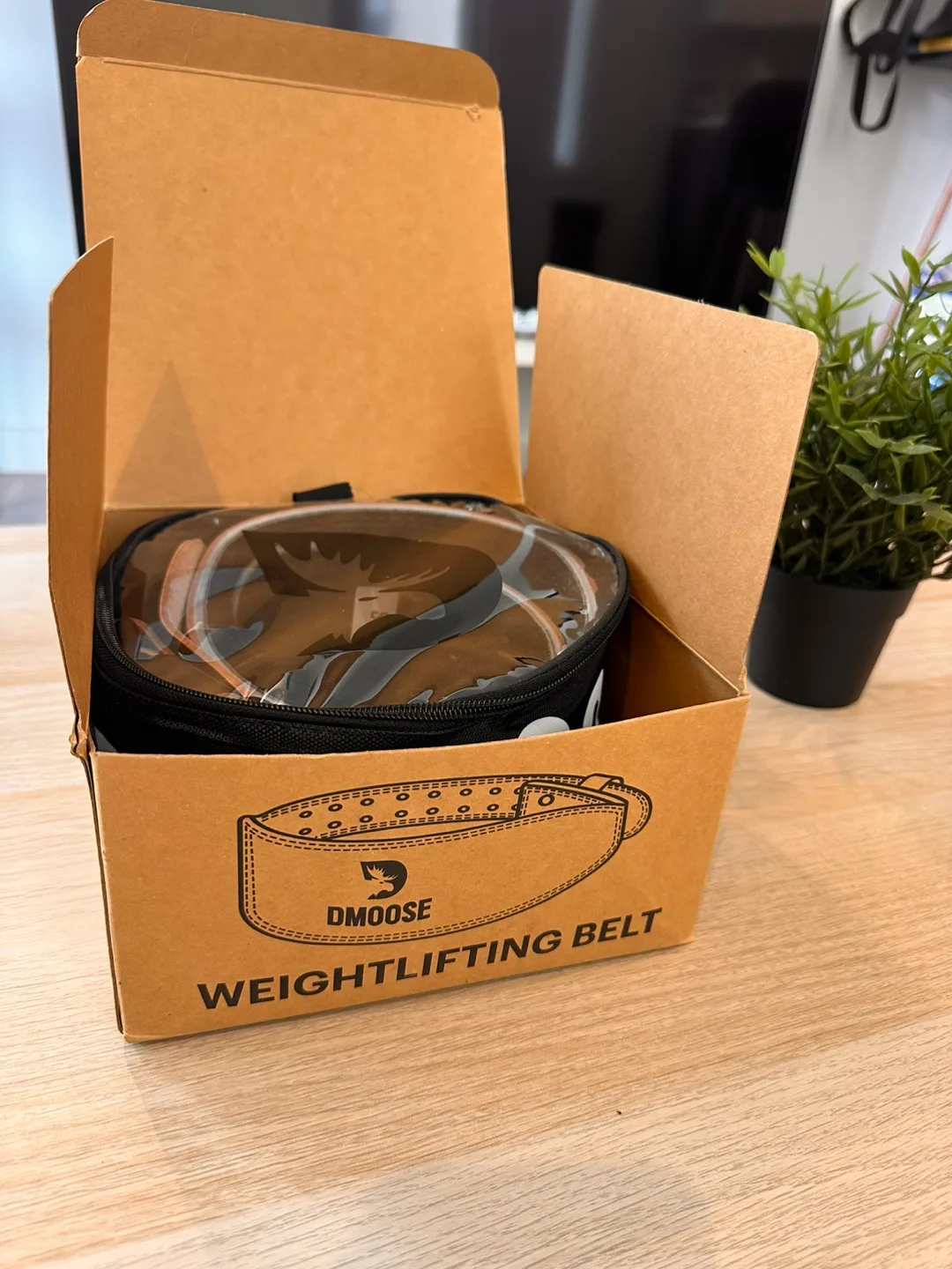 DMoose Weightlifting Belt - New in Box image indicator(4)