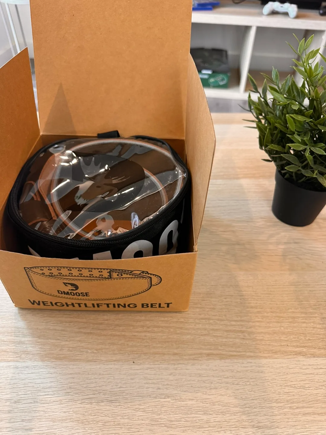 DMoose Weightlifting Belt - New in Box image indicator(3)