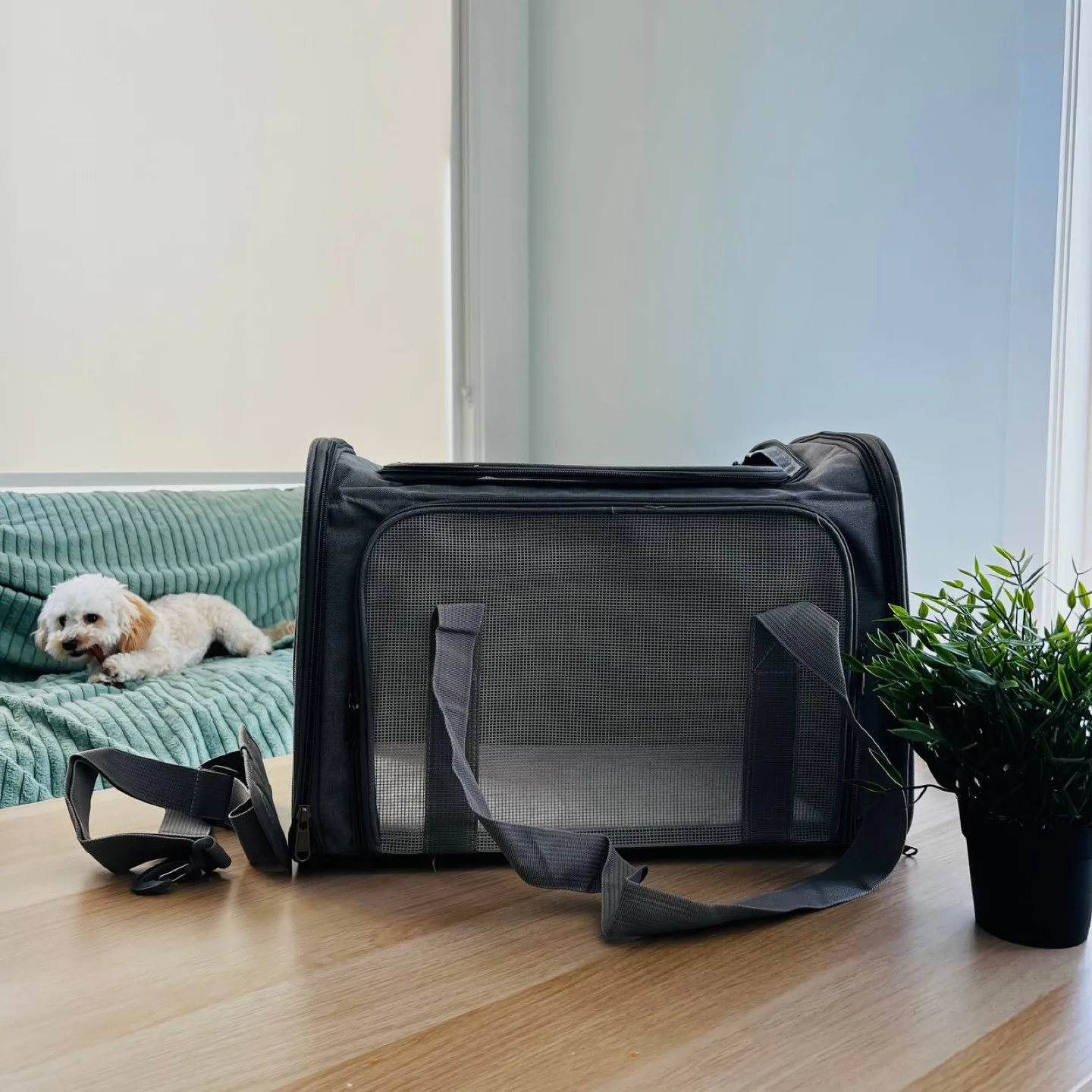 New Pet Carrier - Grey and Black image indicator(3)