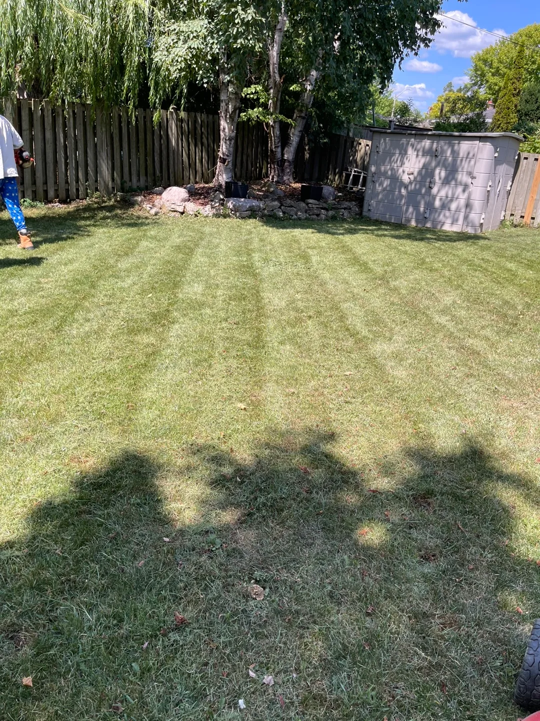 Townhouse-only  15$ grass cut/  coronation area and Des Newman thumbnail