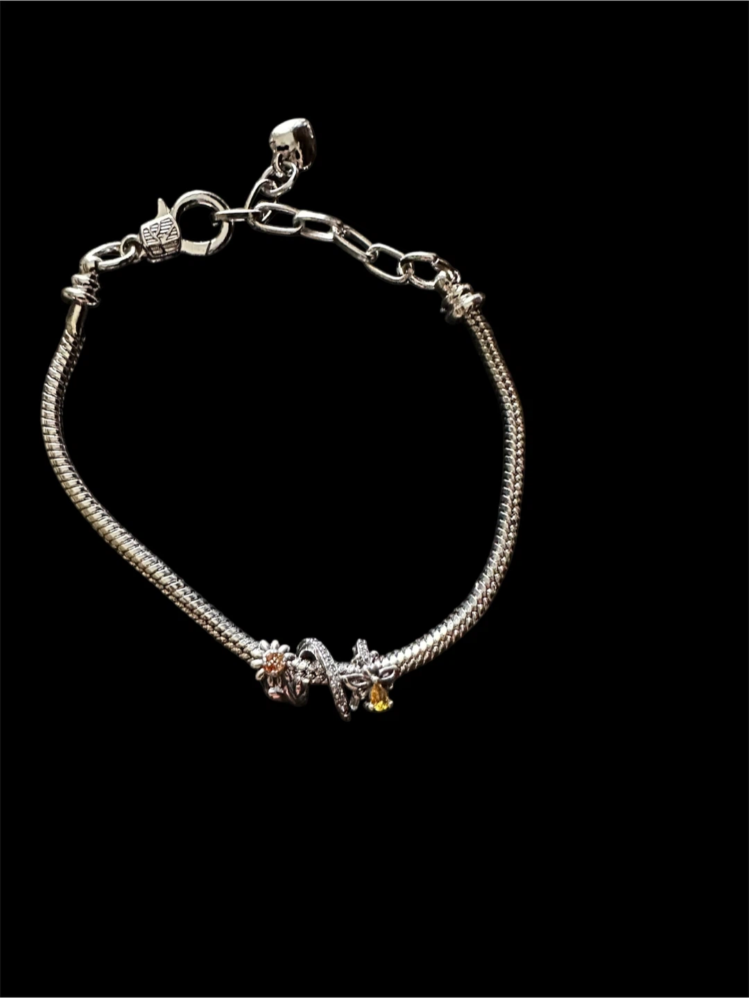 Stainless steel Charm Bracelet