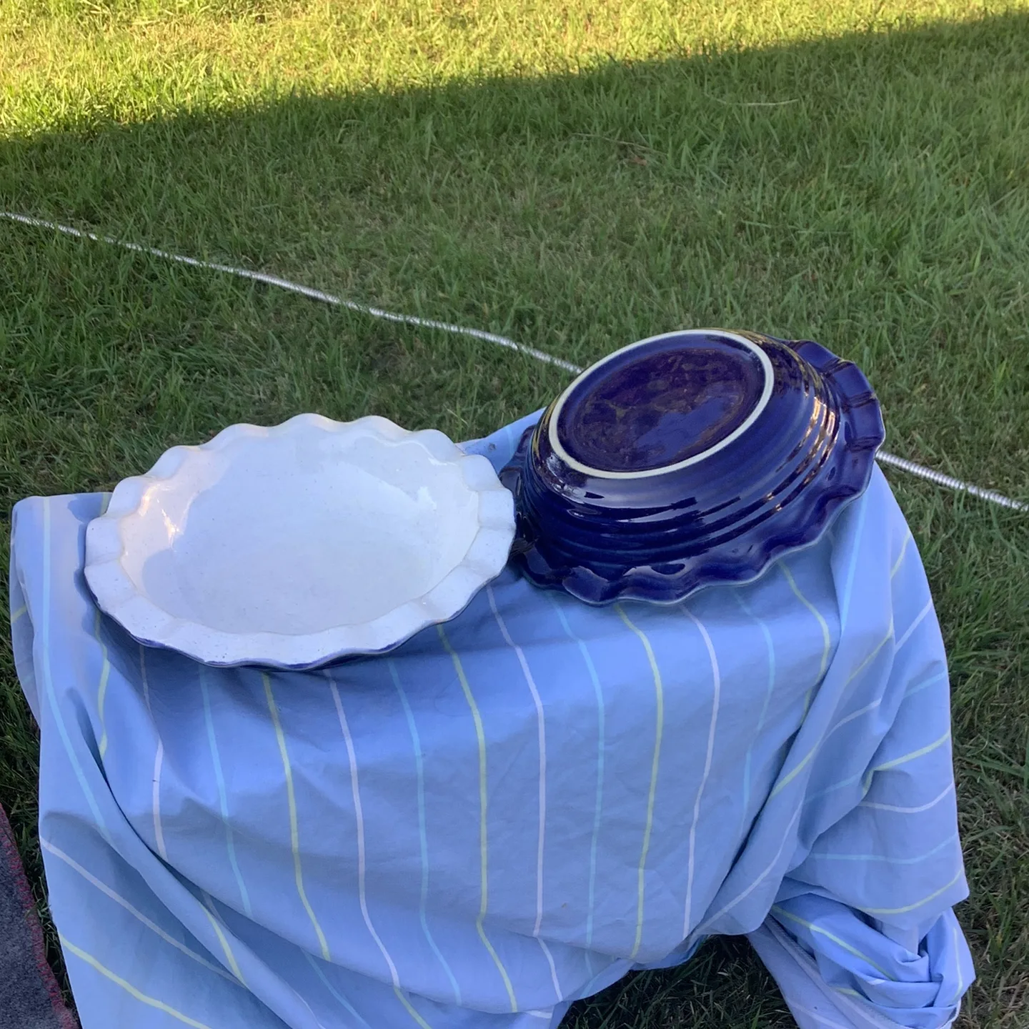 Pie Dishes - White and Blue thumbnail