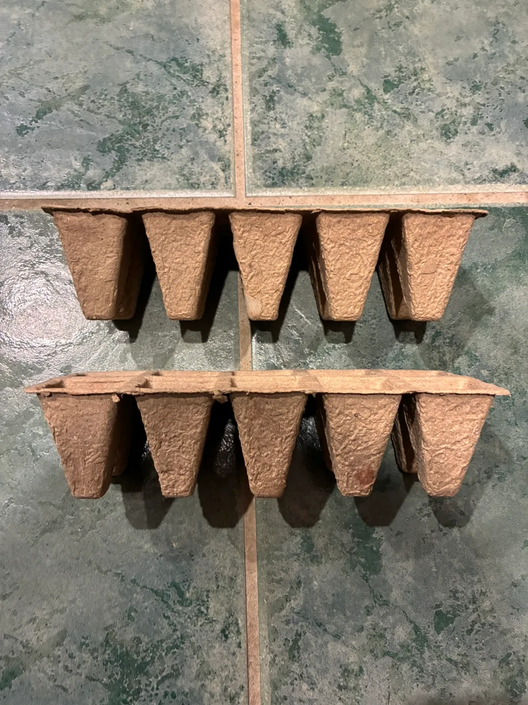 Seedling Starter Trays - Biodegradable image indicator(2)