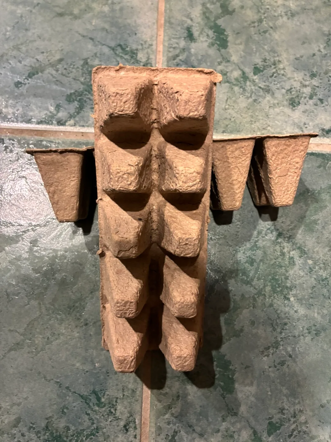 Seedling Starter Trays - Biodegradable image indicator(3)