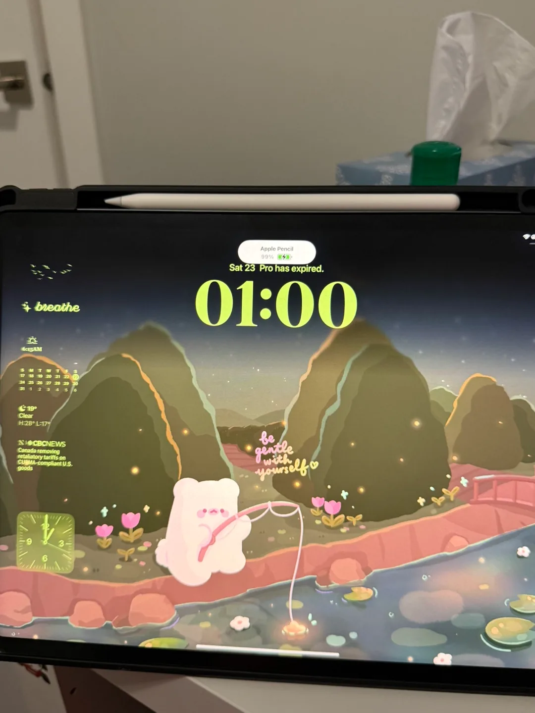 Apple iPad Pro 12.9-inch (5th Gen) 128GB image indicator(8)