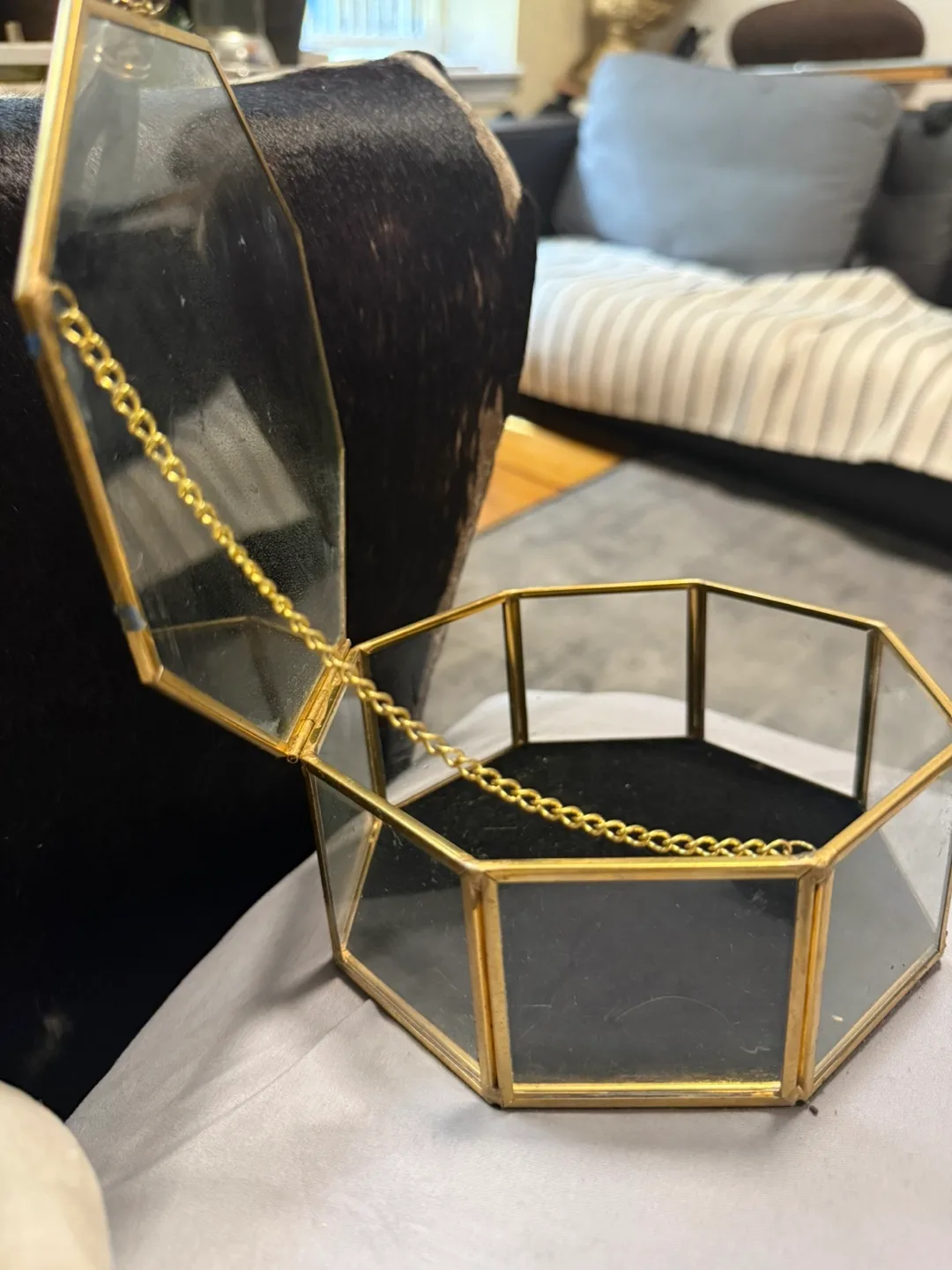 2 glasses jewel box identical image indicator(5)