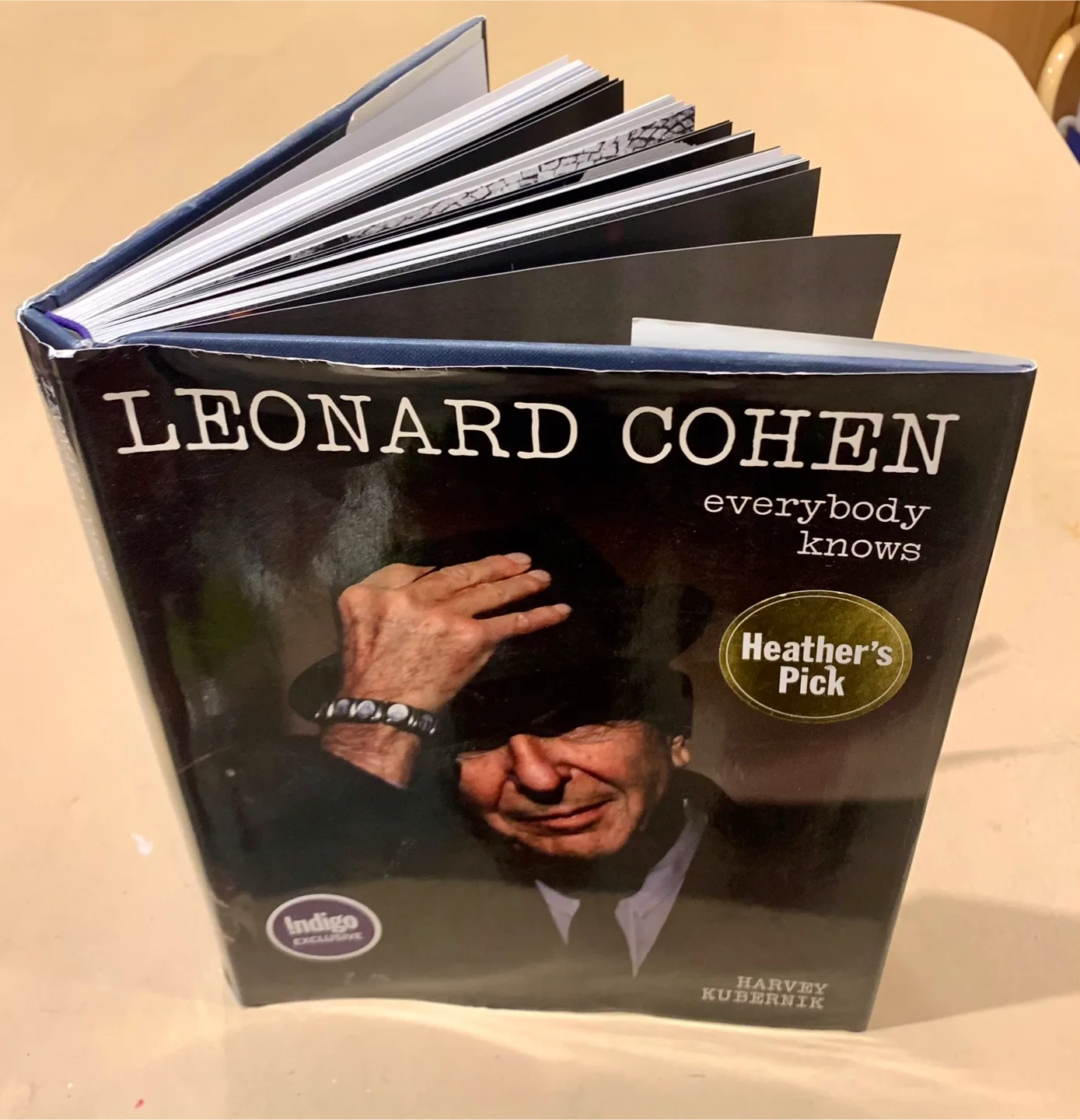 LEONARD COHEN BOOK, Large Size, VG Condition image indicator(5)