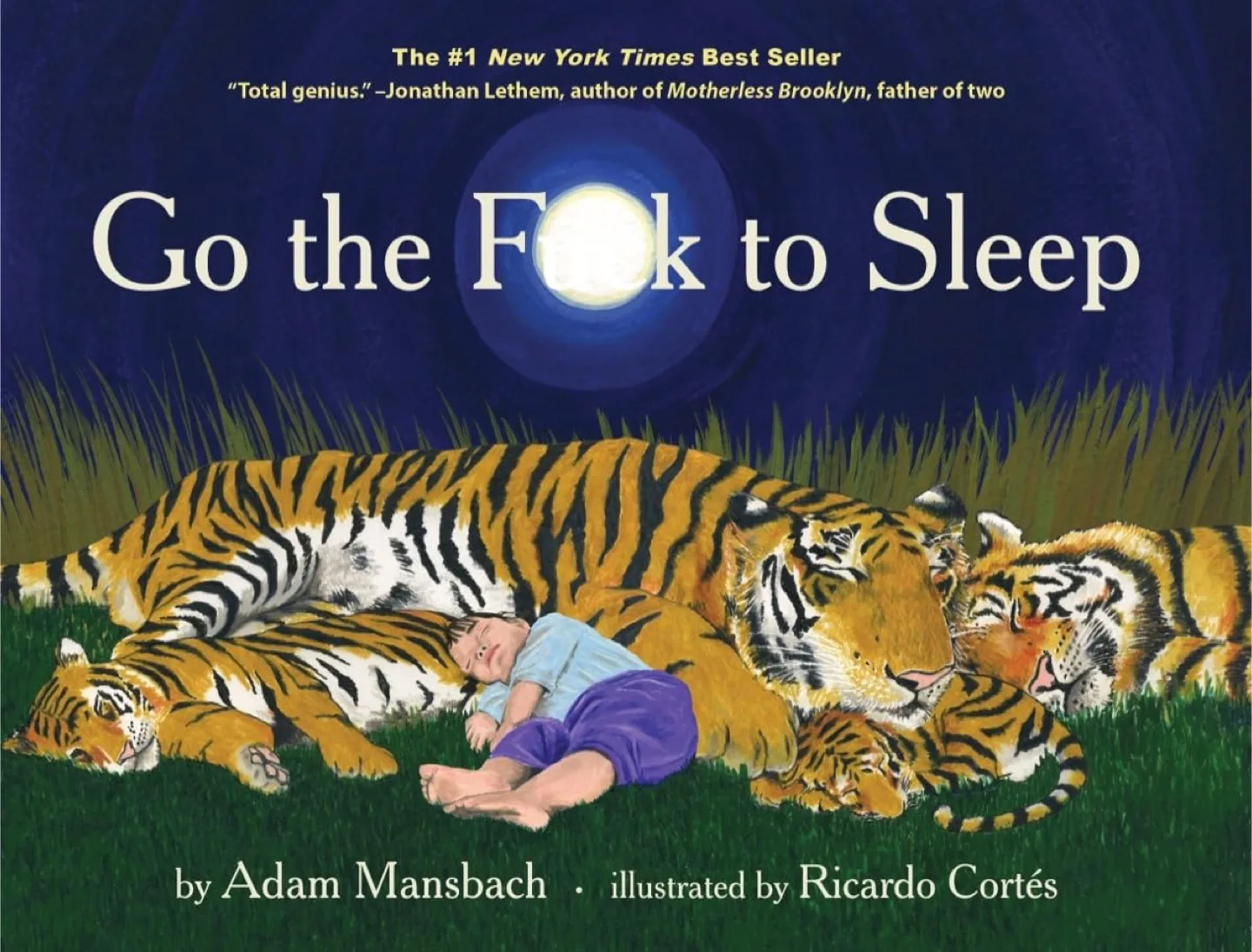 Go the F**k to Sleep Book by Adam Mansbach thumbnail