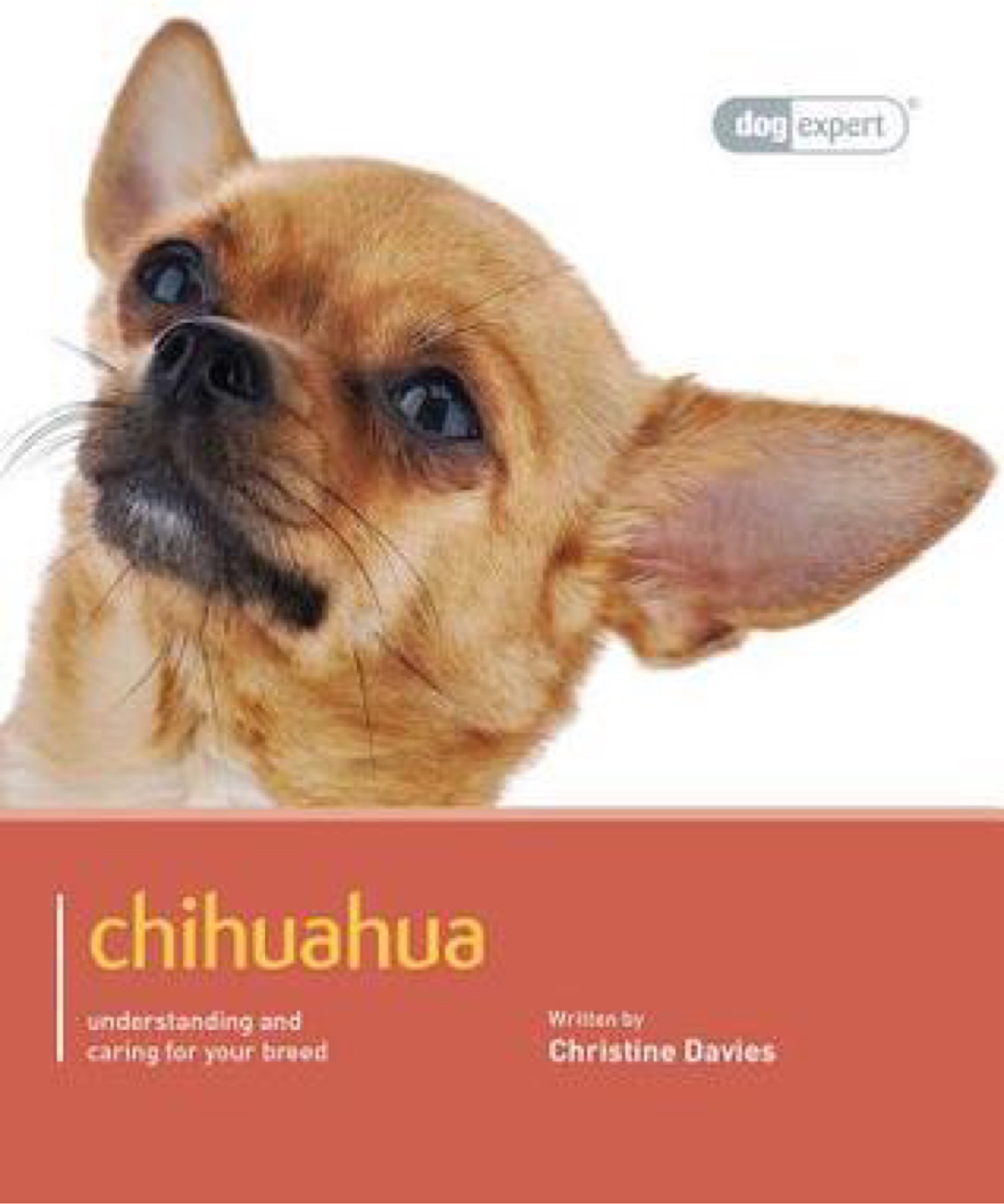 Chihuahua: Understanding and Caring for Your Breed