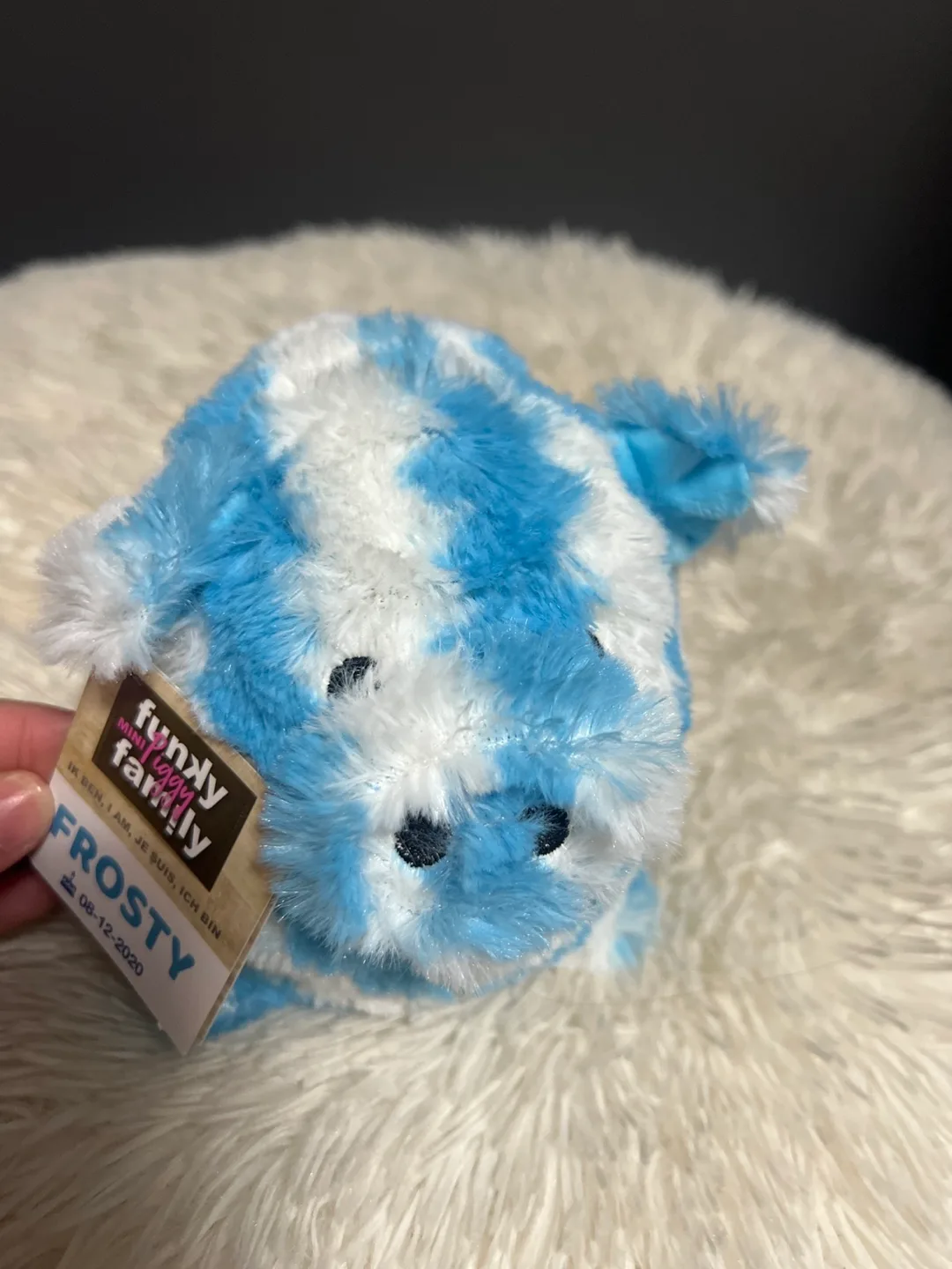 Funky Figgy Family Frosty Plush Toy