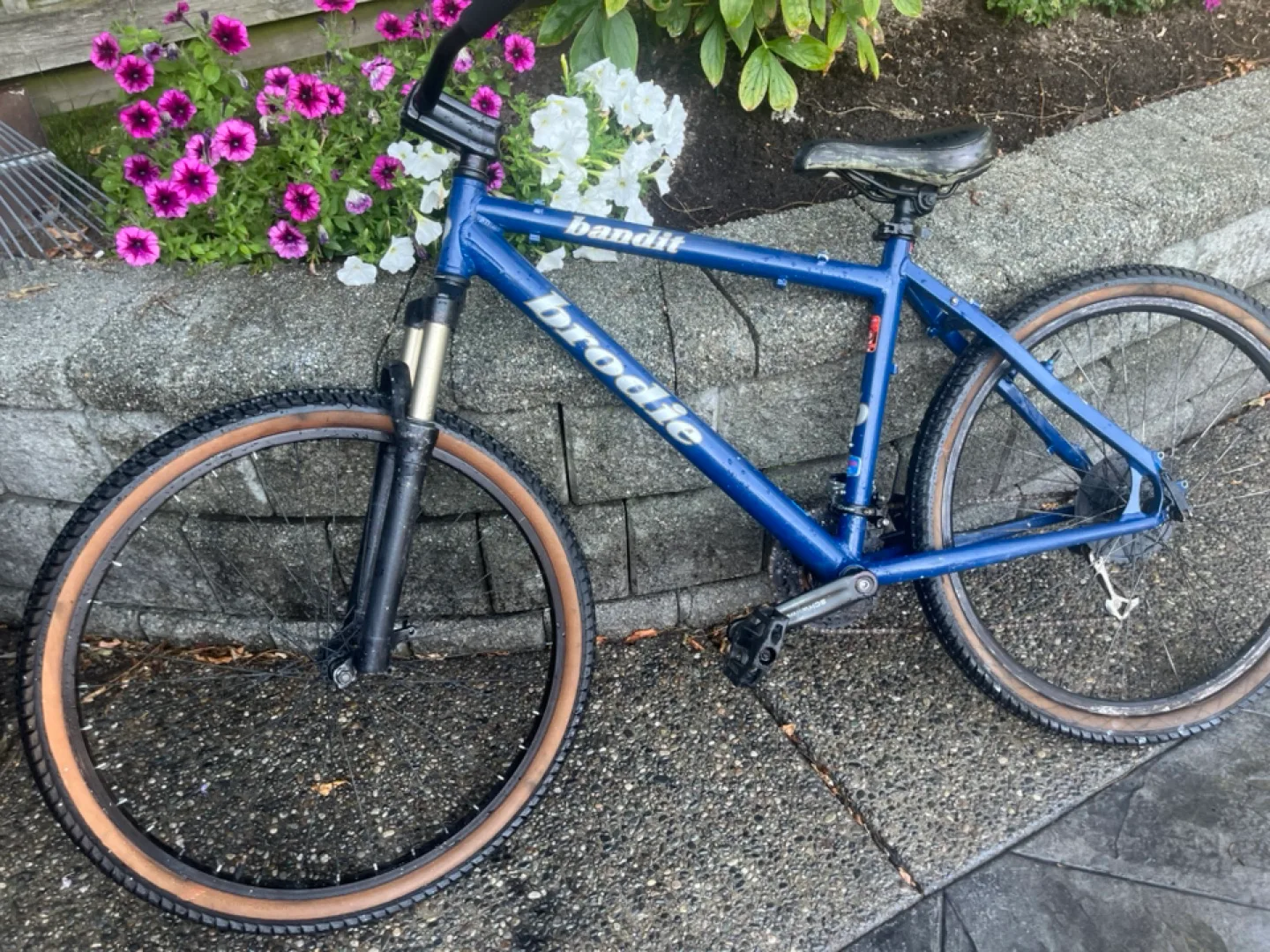 Brodie Bandit Mountain Bike image indicator(2)