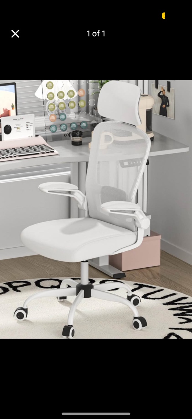 White Ergonomic Office Chair