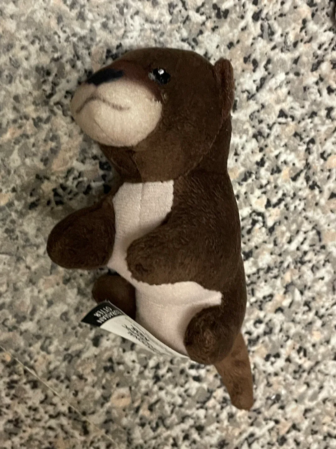 Free National Geographic Eurasian Otter Plush thumbnail
