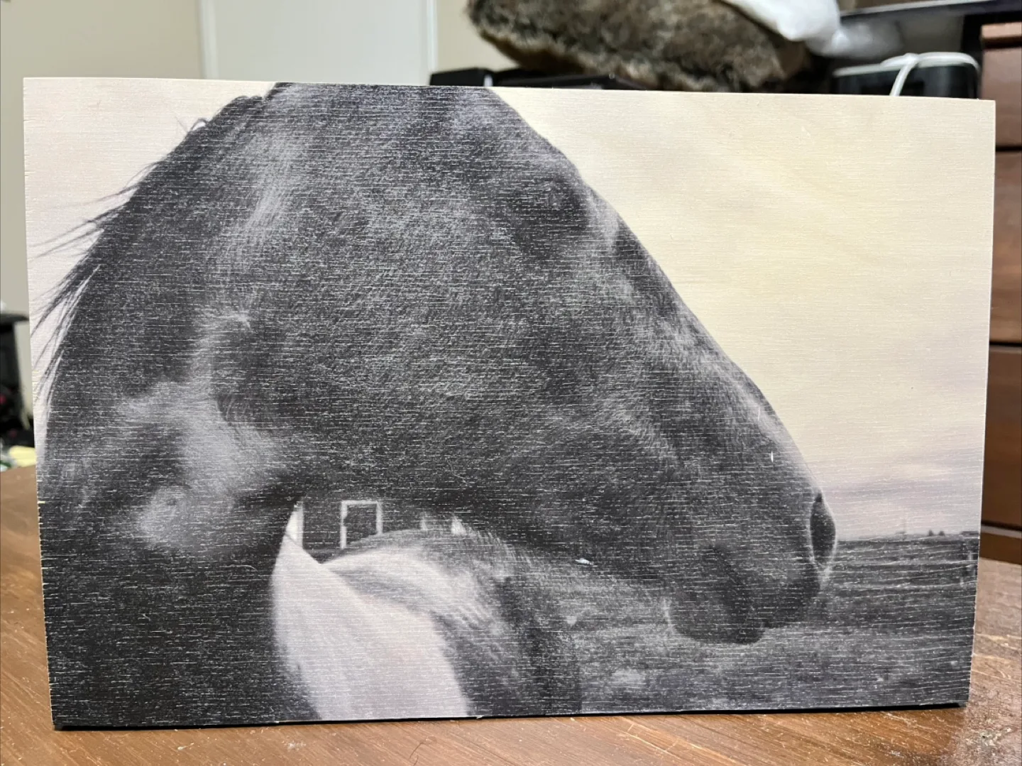 The “Emotional Support Horse” Art thumbnail