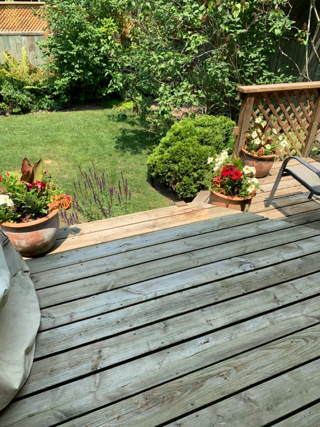 3 outdoor planters with the plants