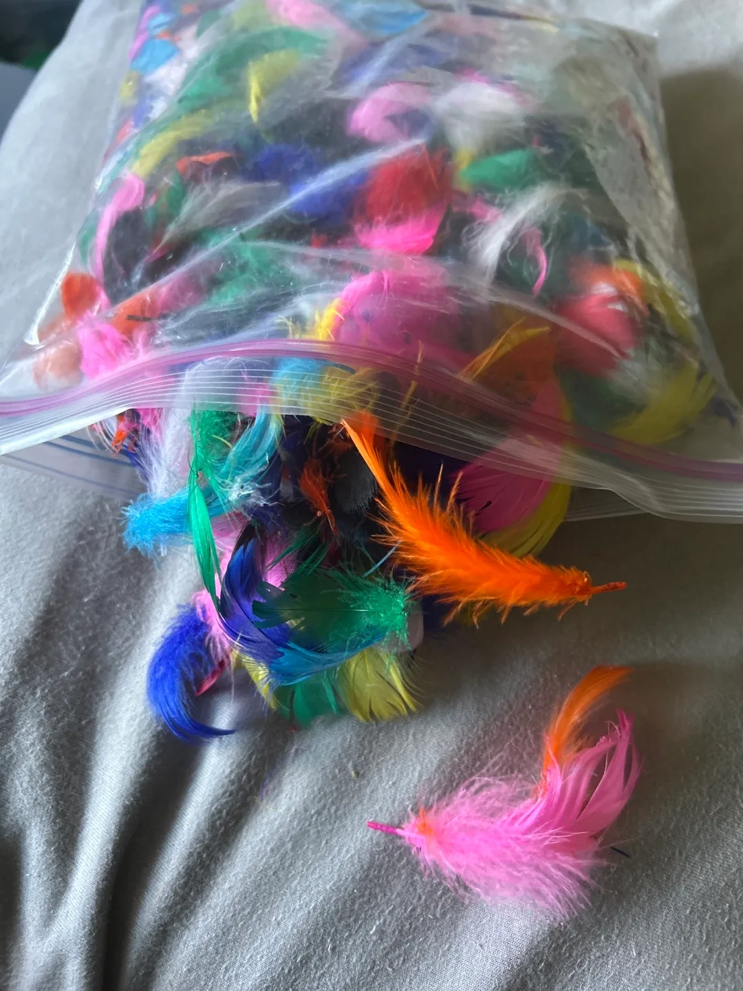 Bag of Assorted Craft Feathers thumbnail