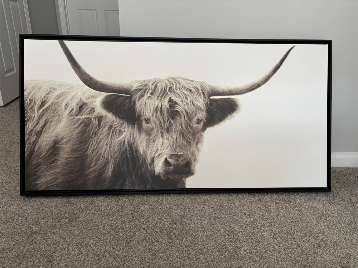 Highland Cow Framed Art - photo 2