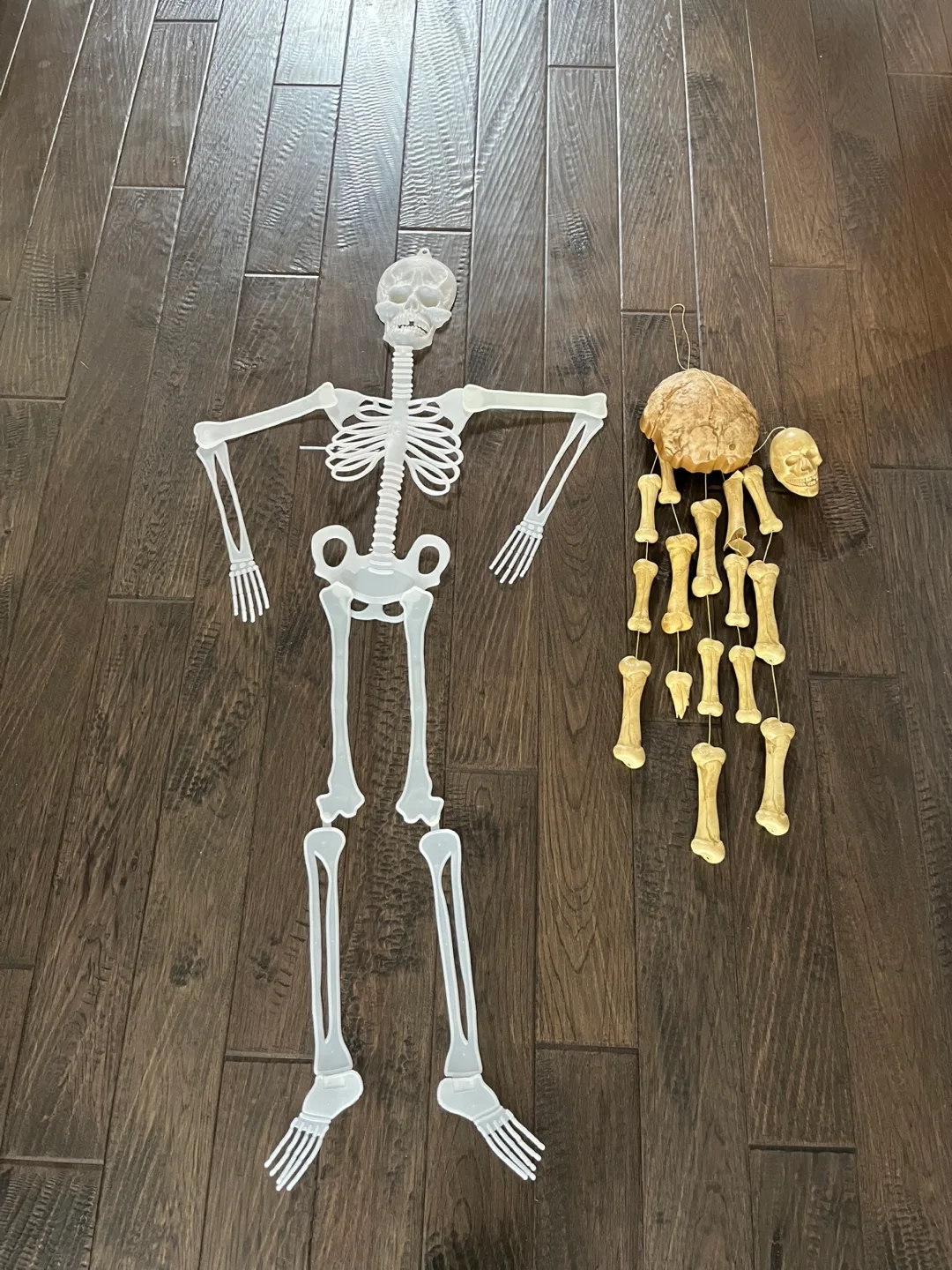 Halloween Skeleton & decor thumbnail