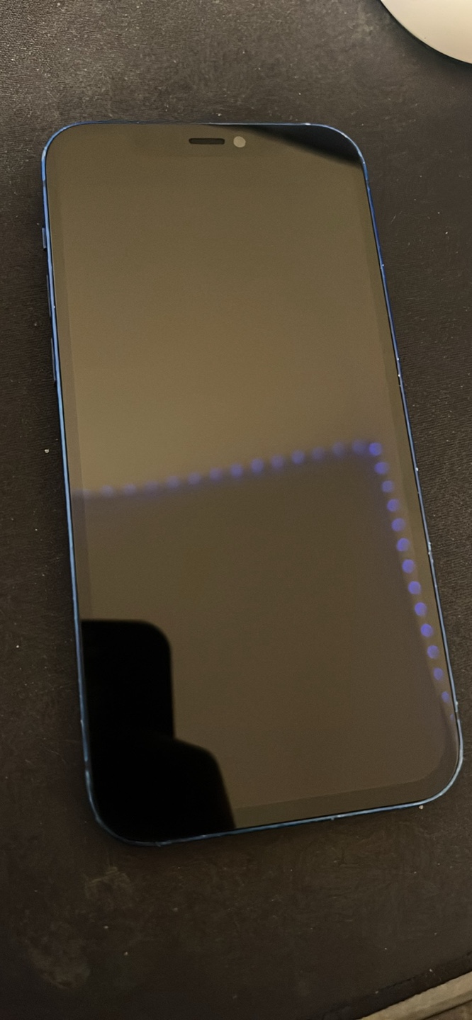 Apple iPhone 12 - Blue - photo 4