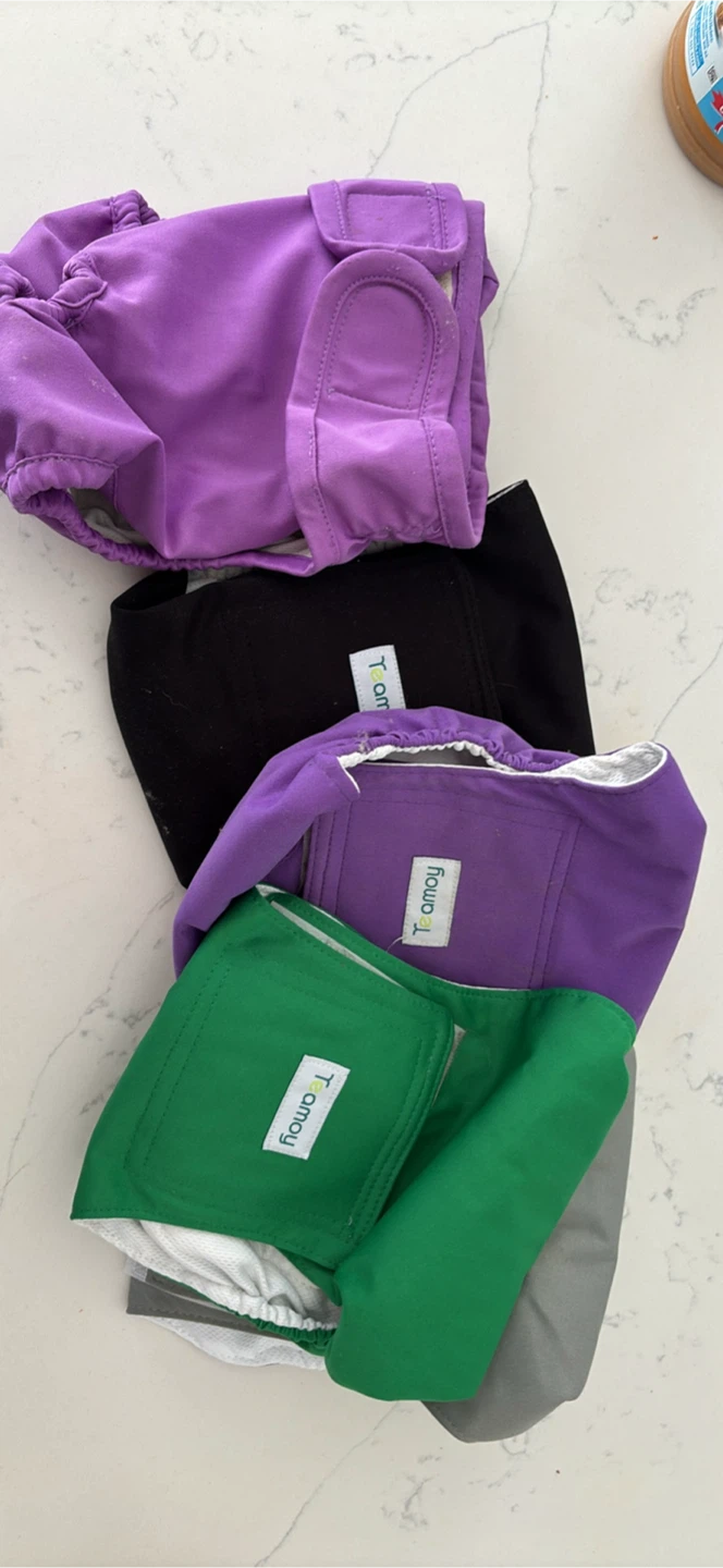 TeAmoy Dog Diapers - Purple, Black, Green