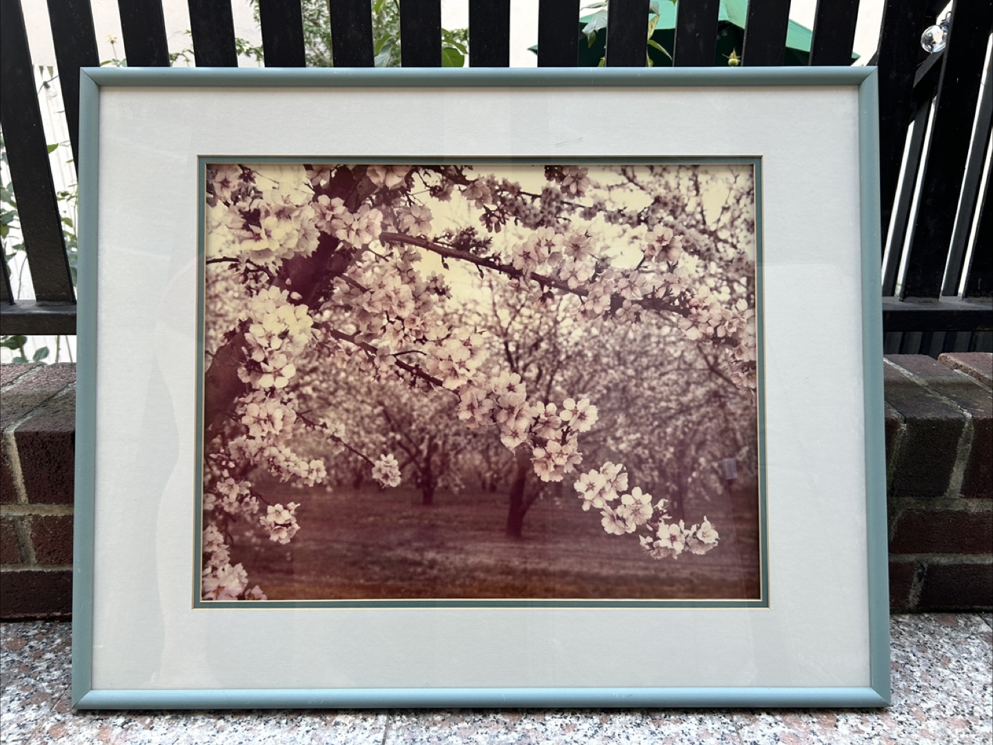 Karl Bonfert Fine Photography Almond Orchard