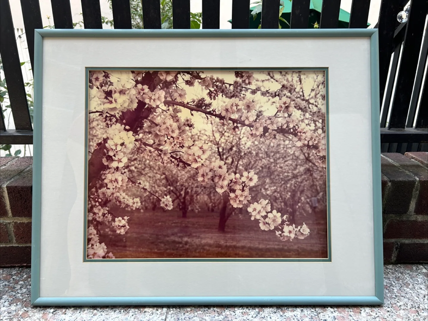 Karl Bonfert Fine Photography Almond Orchard