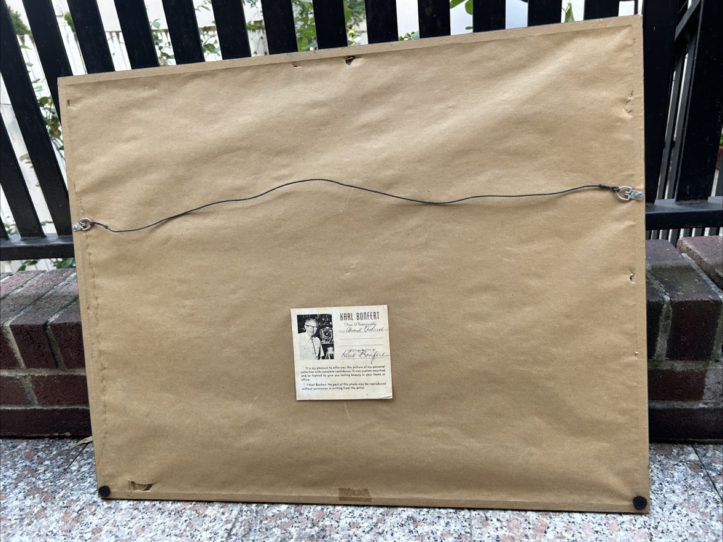 Karl Bonfert Fine Photography Almond Orchard - photo 2