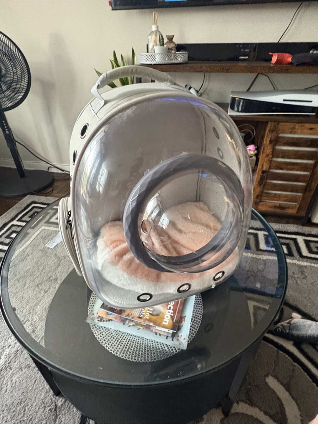 Pet Carrier Backpack - Space Capsule Design