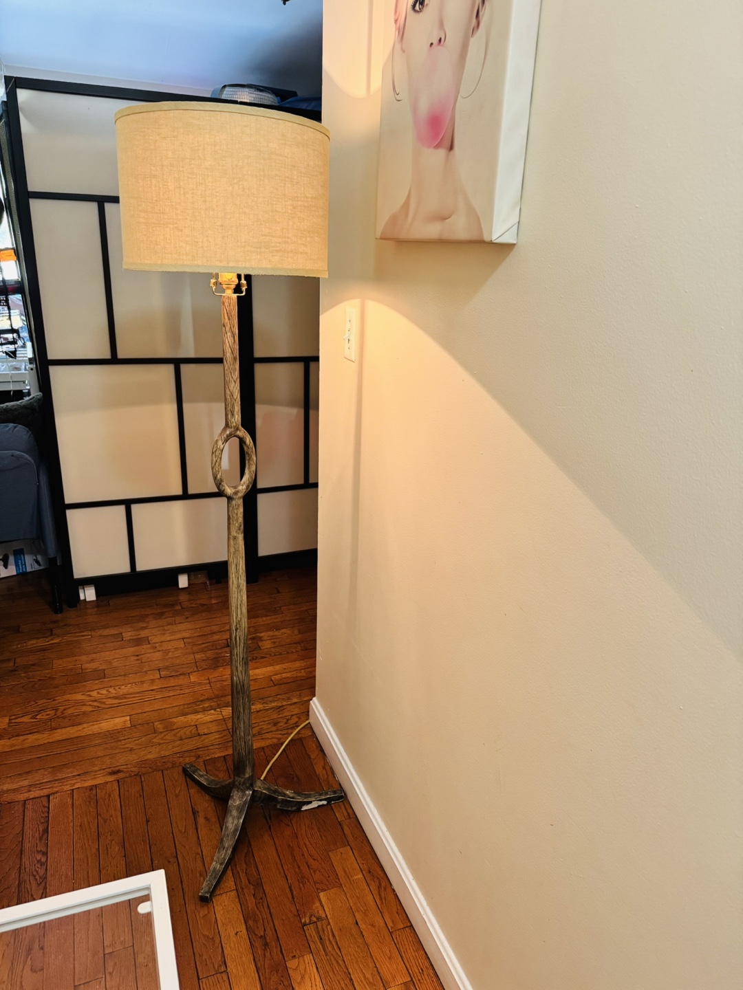 Safavieh Lighting Collection Floor Lamp