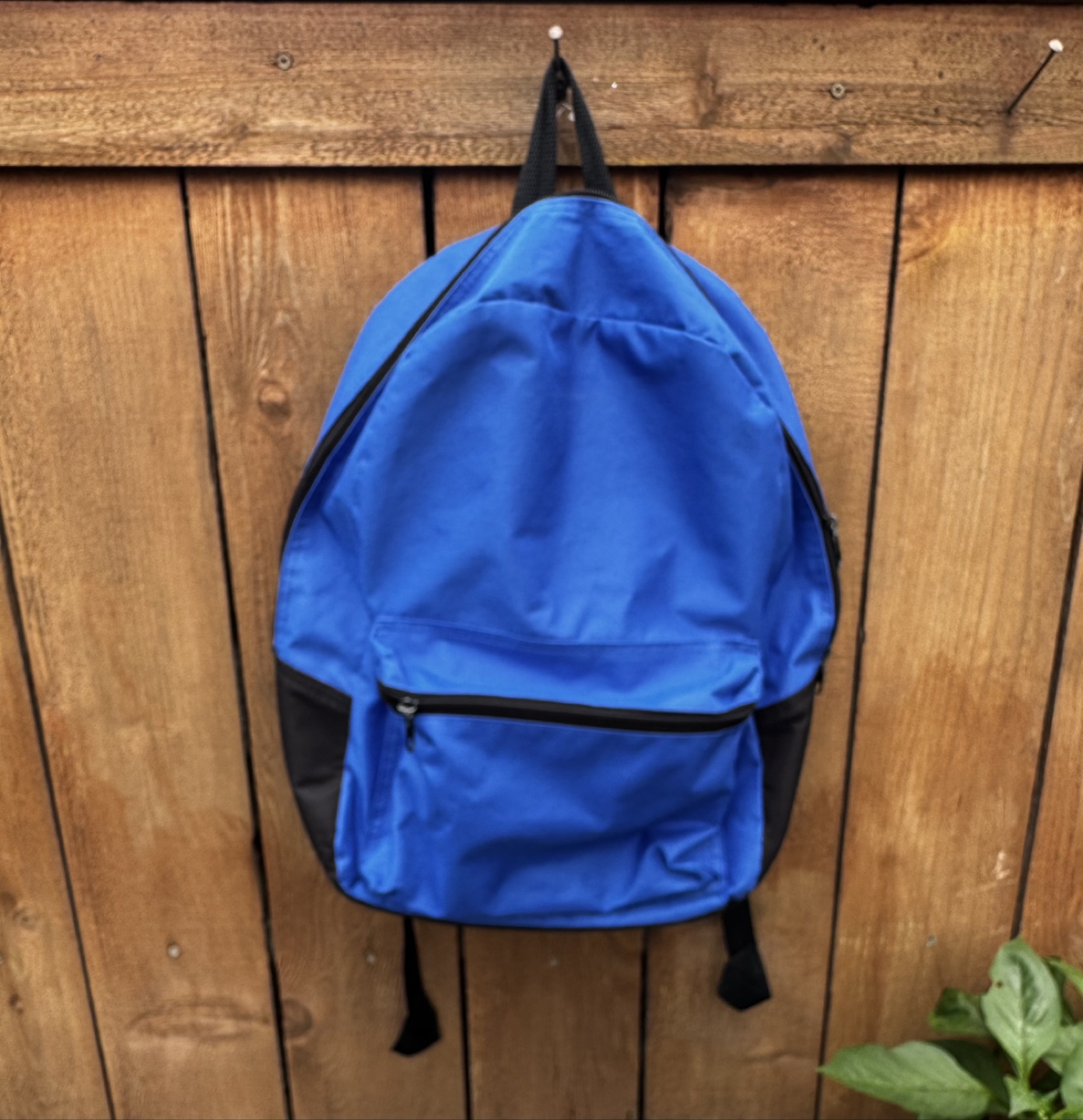 Blue Backpack