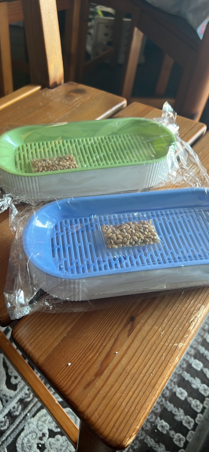 Cat grass Sprouting Tray - photo 4