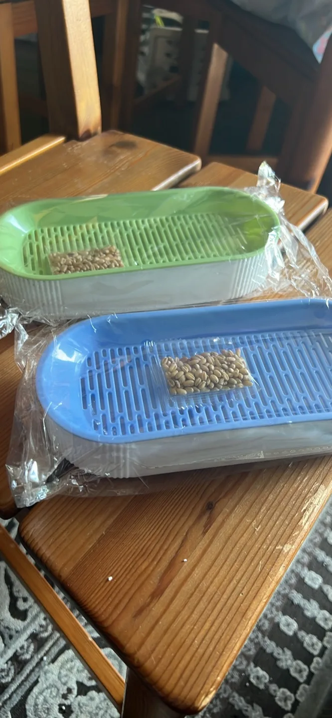 Cat grass Sprouting Tray image indicator(4)