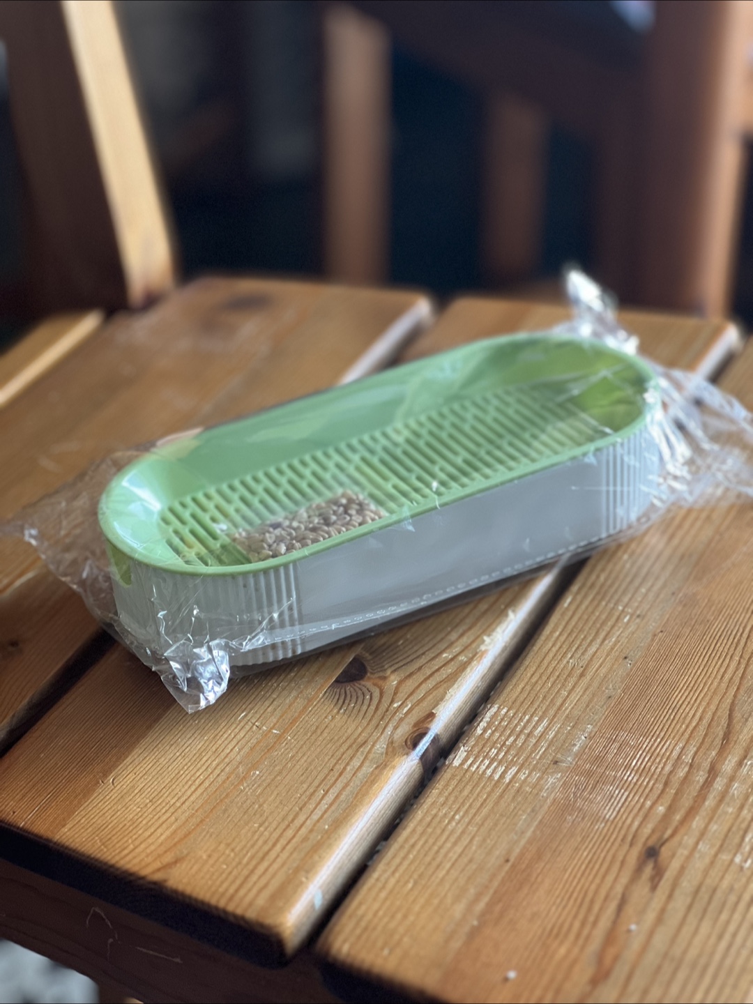 Cat grass Sprouting Tray