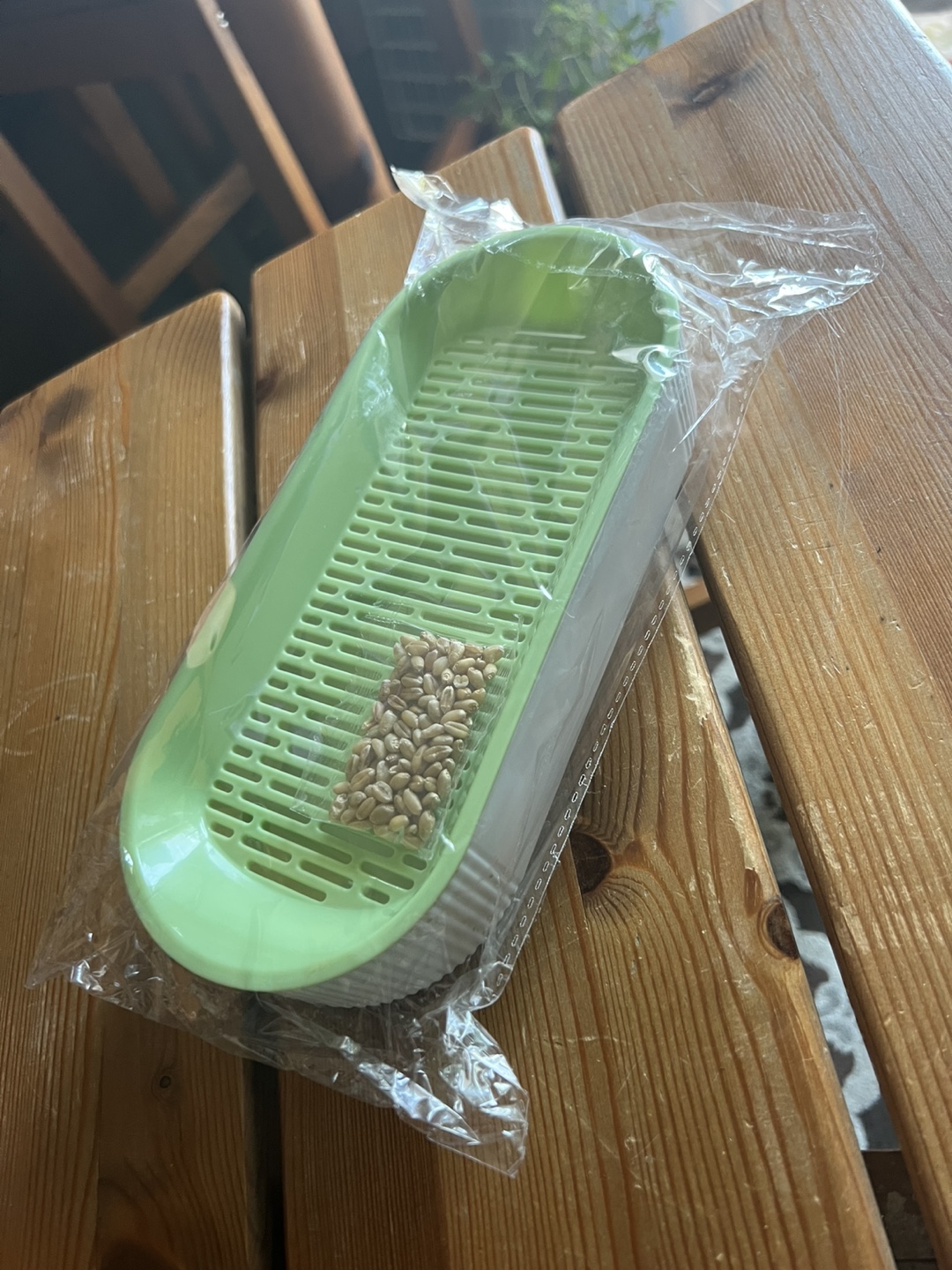 Cat grass Sprouting Tray - photo 2