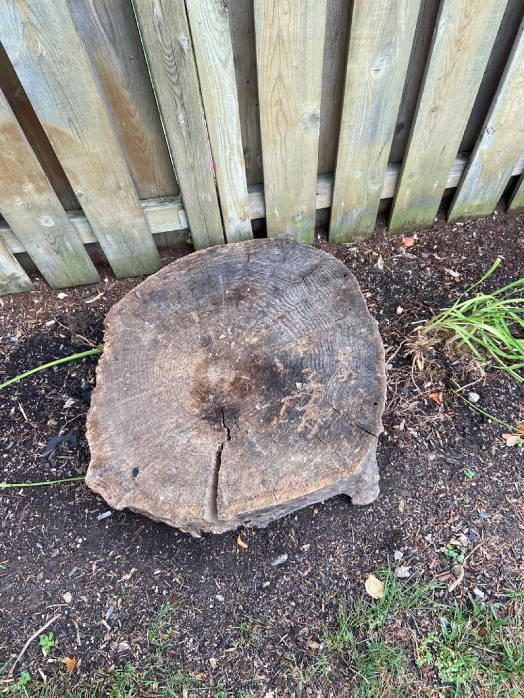 Big piece of wood to make a table or fire wood thumbnail