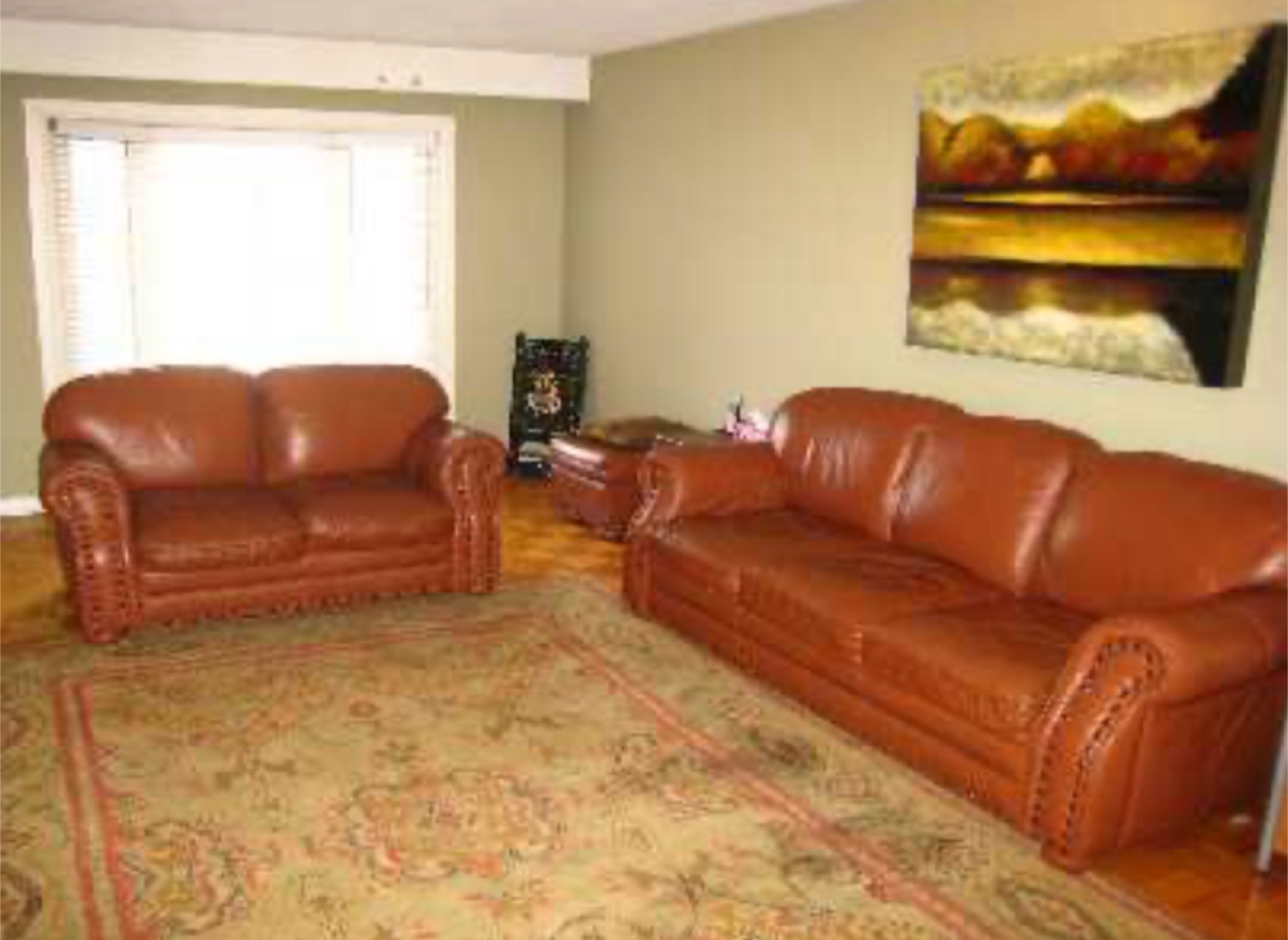 FREE sofas and area rug
