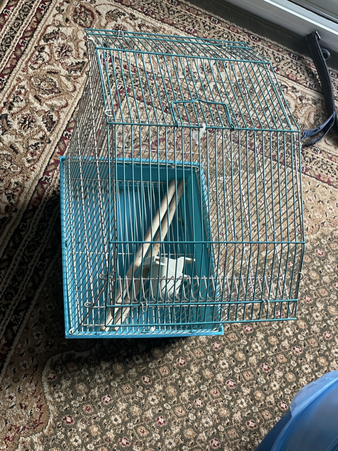 Blue Bird Cage - photo 2