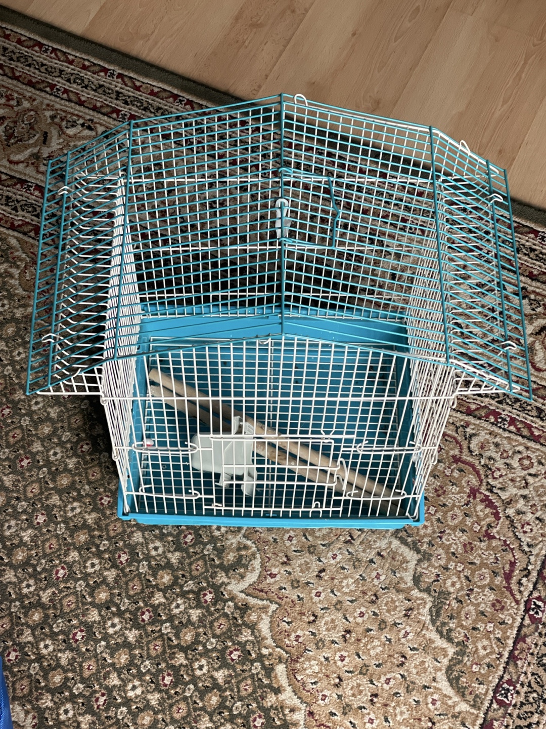 Blue Bird Cage