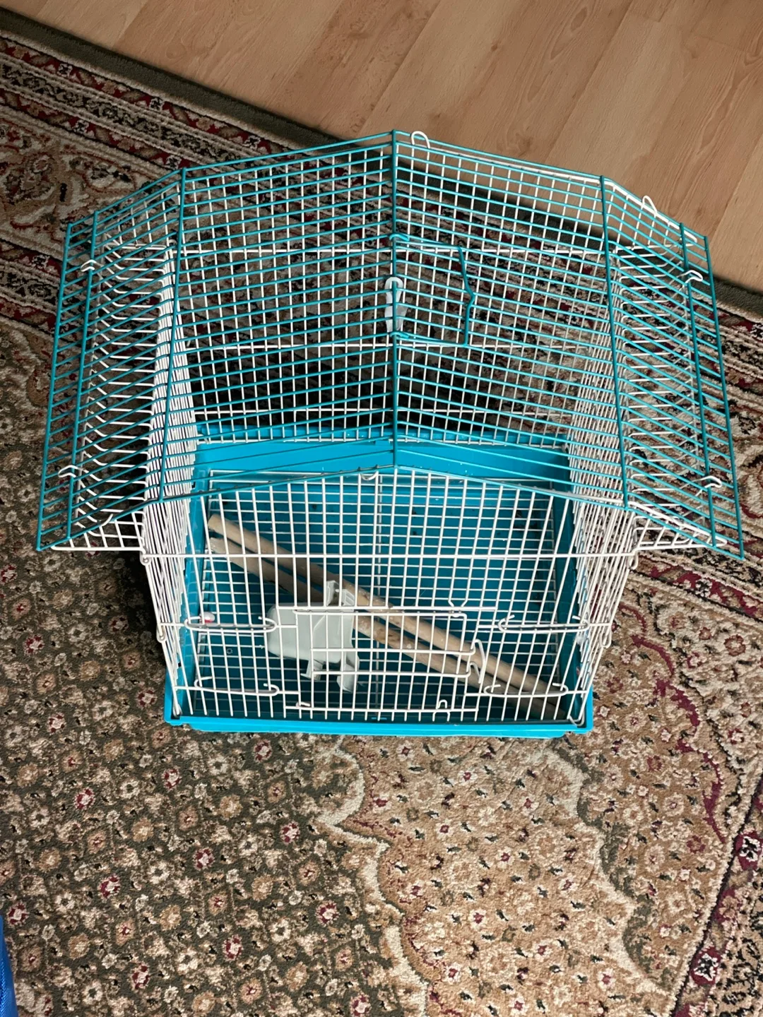 Blue Bird Cage thumbnail