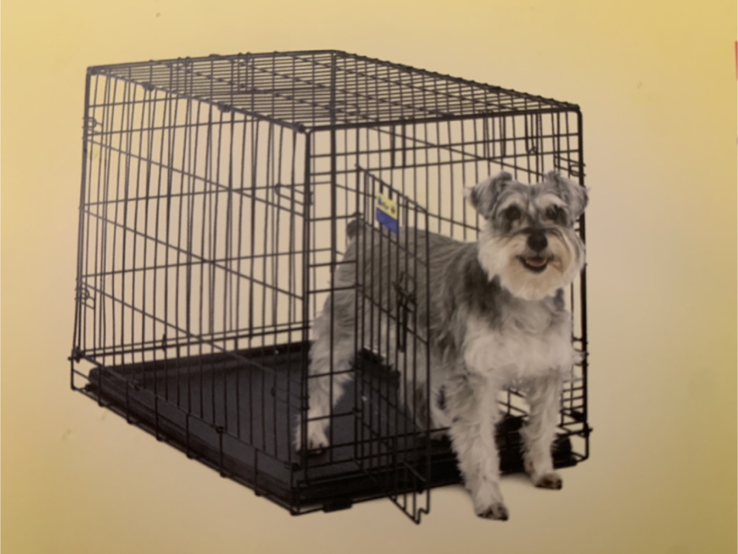 MidWest Contour Folding Dog Crate - Medium