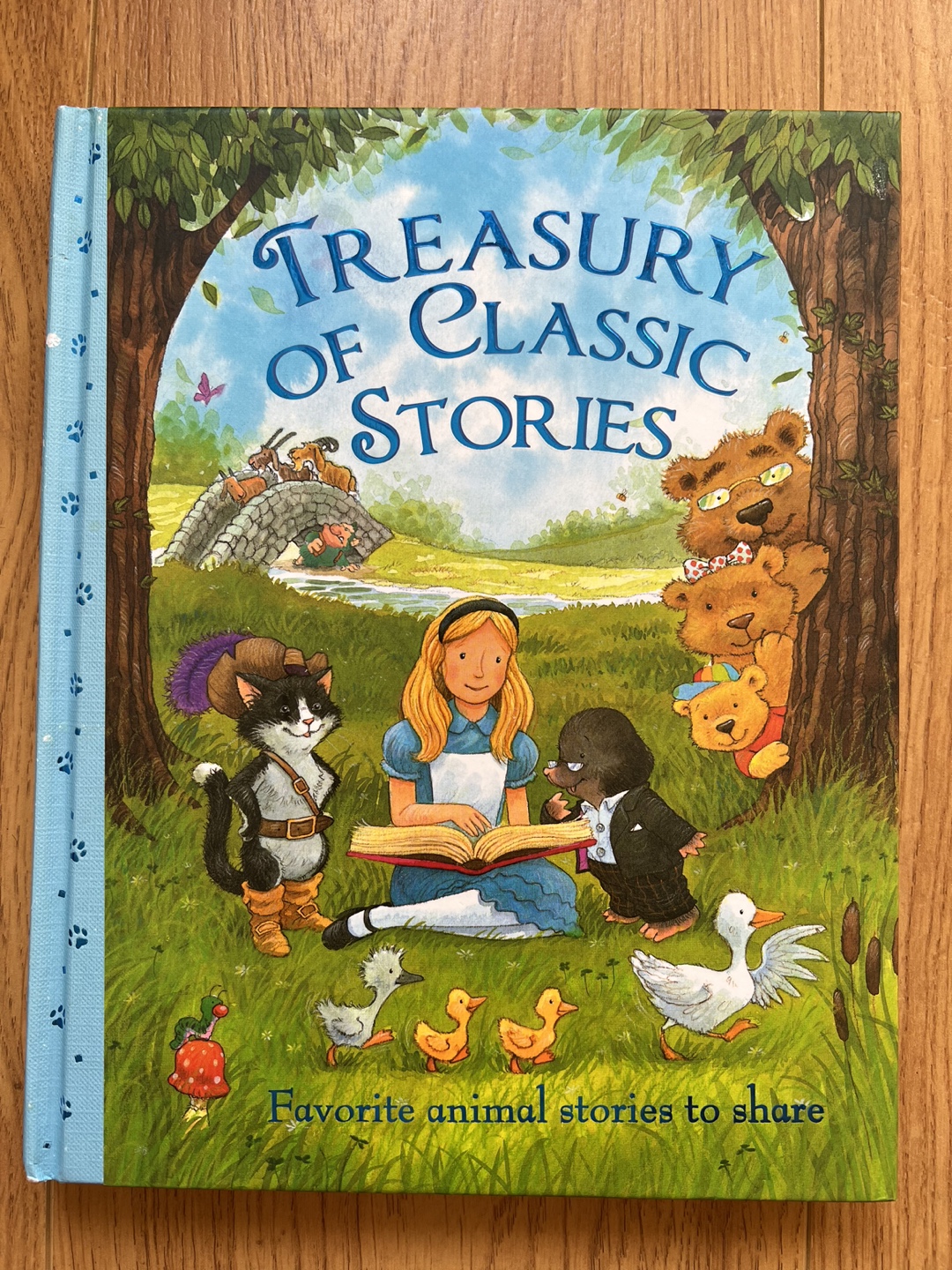 Treasury of Classic Stories Book