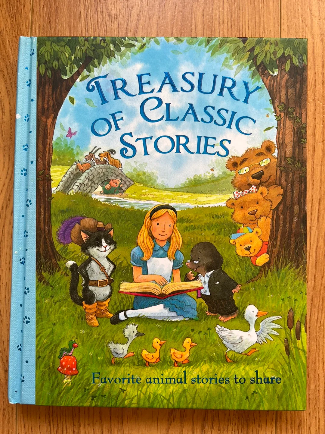 Treasury of Classic Stories Book thumbnail