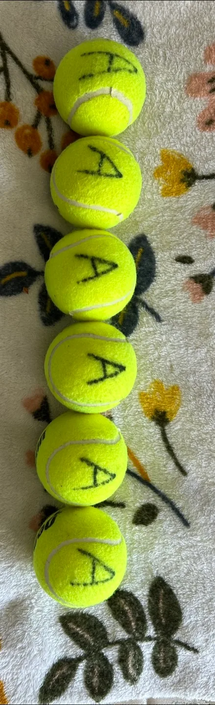 Penn Tennis Balls - Set of 6 image indicator(2)