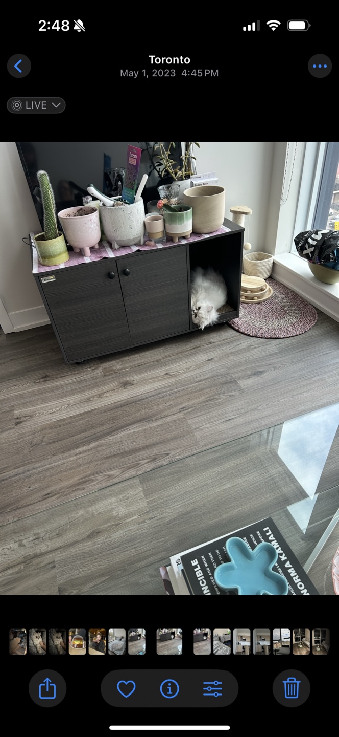 Cat hidden litterbox enclosure - photo 2